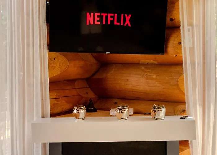 -vv ポドチェトルテク