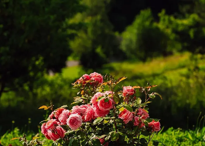 -vv ポドチェトルテク