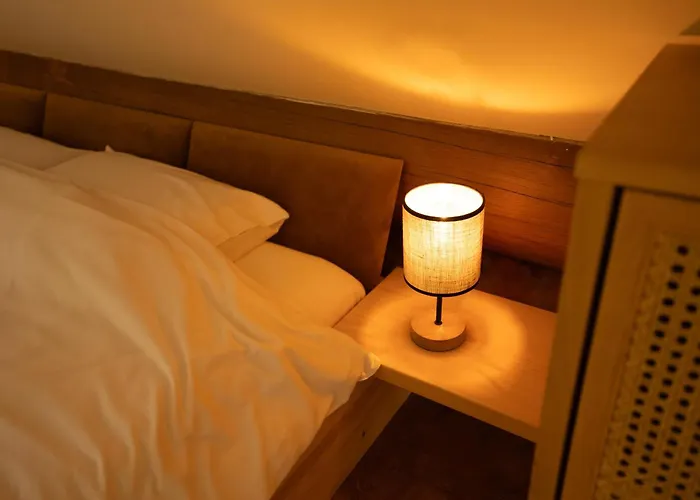 -vv ポドチェトルテク